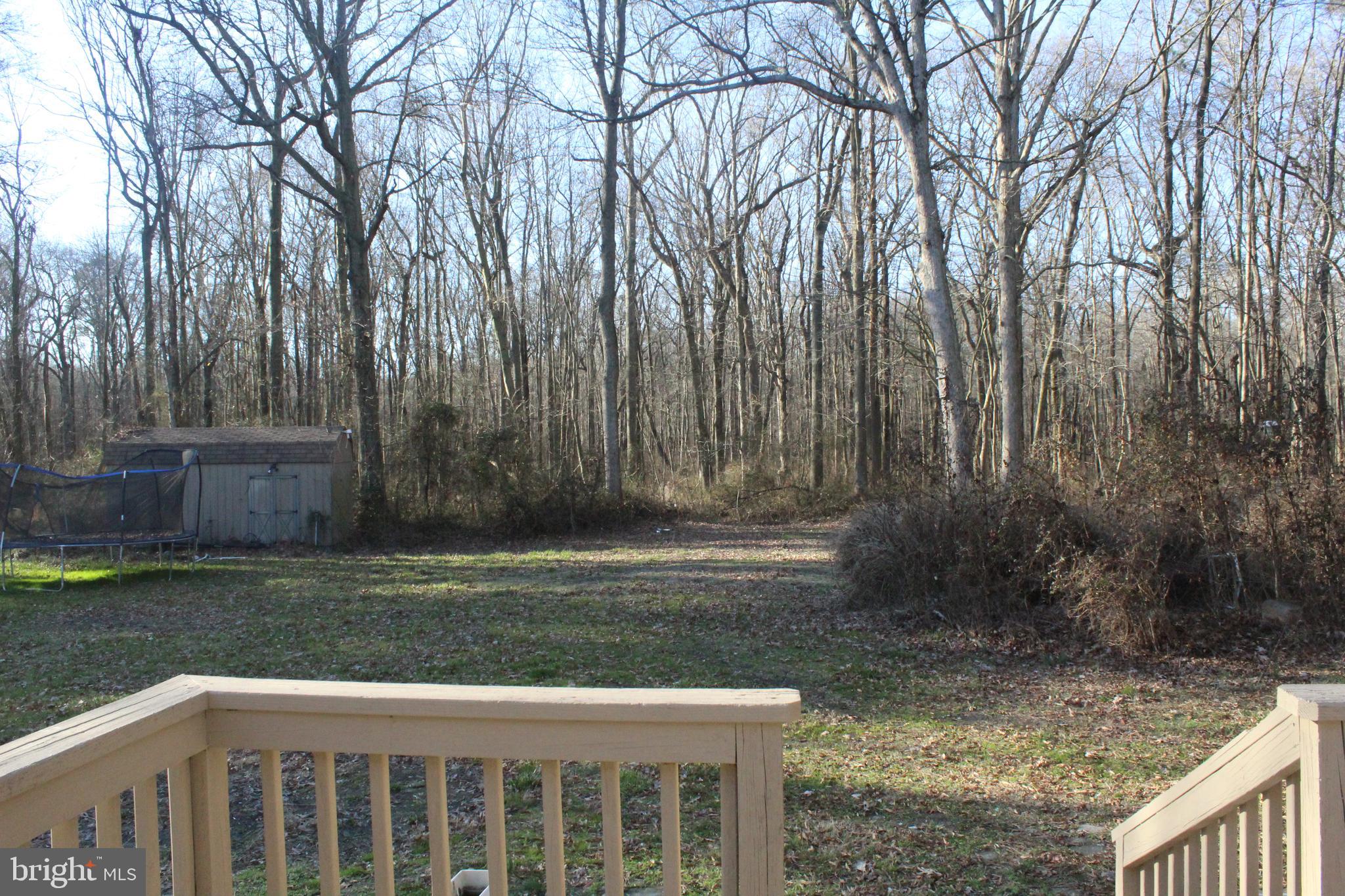 2779 Judith Road Hartly, DE 19953 - Photo 48 of 58 view from the deck