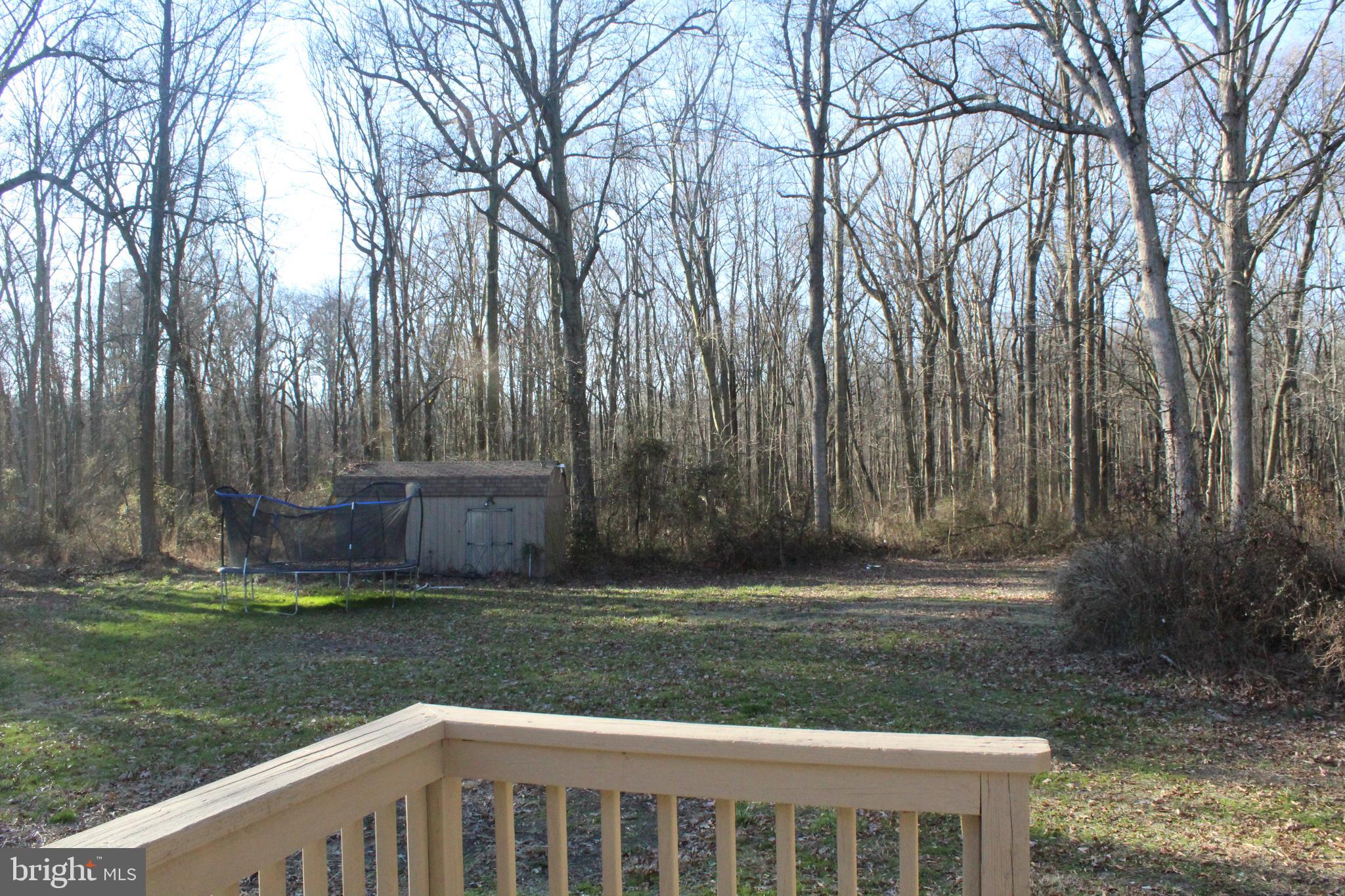 2779 Judith Road Hartly, DE 19953 - Photo 49 of 58 view of back yard