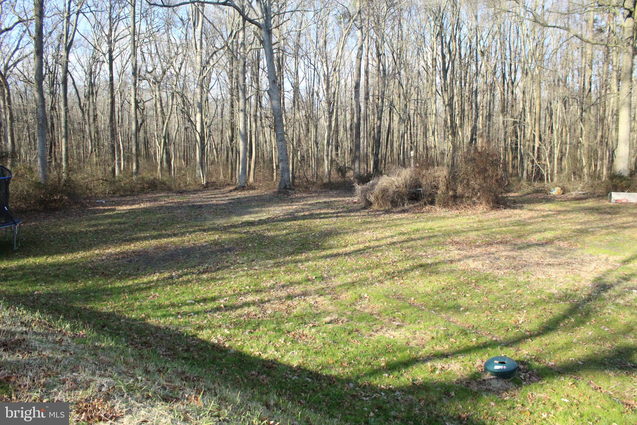 2779 Judith Road Hartly, DE 19953 - Photo 50 of 58 wooded view