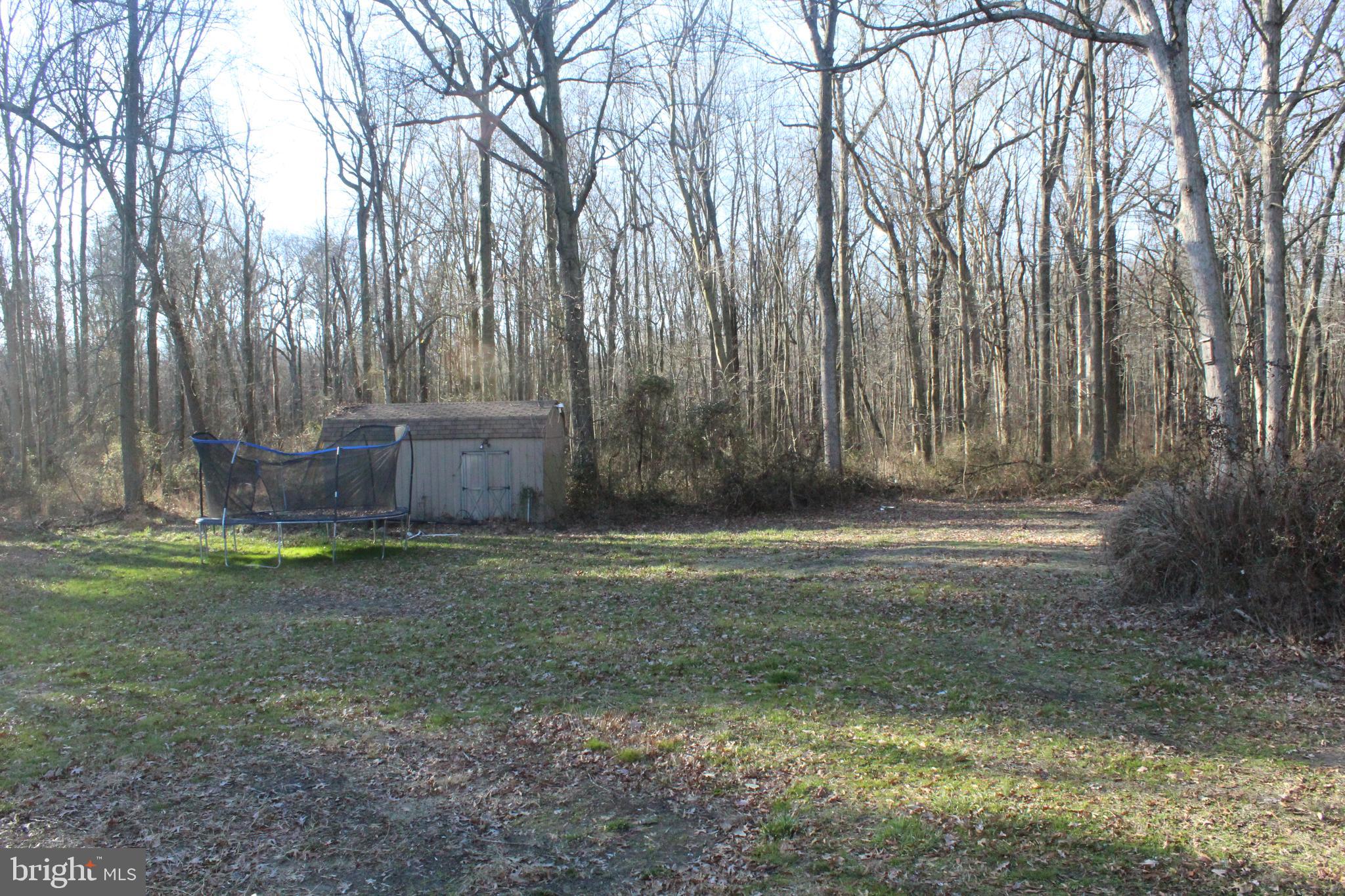 2779 Judith Road Hartly, DE 19953 - Photo 51 of 58 shed & view