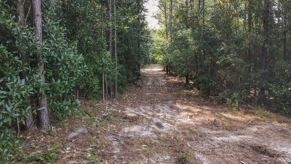 241 Voyager Road Salley, SC 29137 - Photo 30 of 31