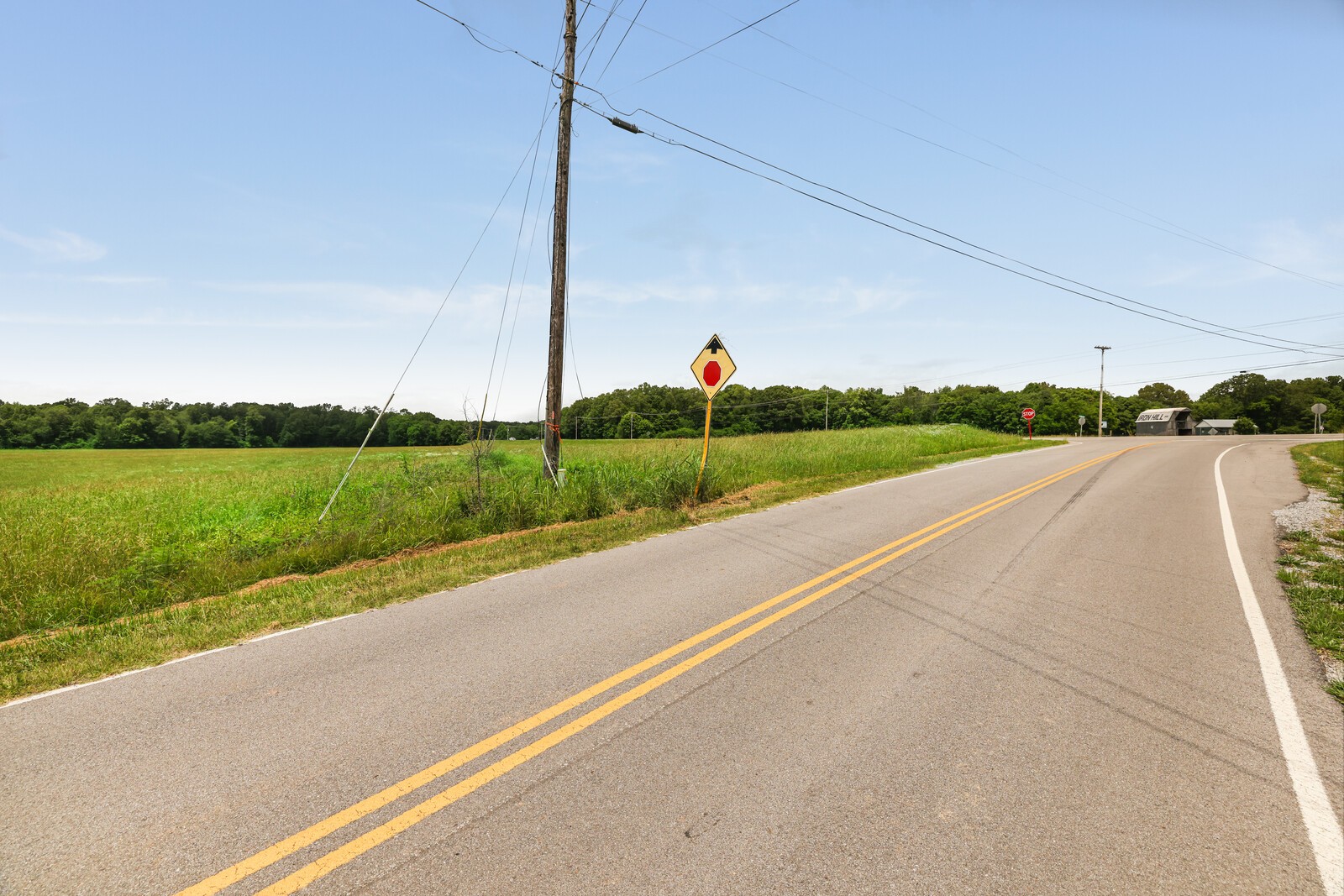0 Iron Hill Road Dickson, TN 37055 - Photo 14 of 14 a view of a street with a big yard and a large tree