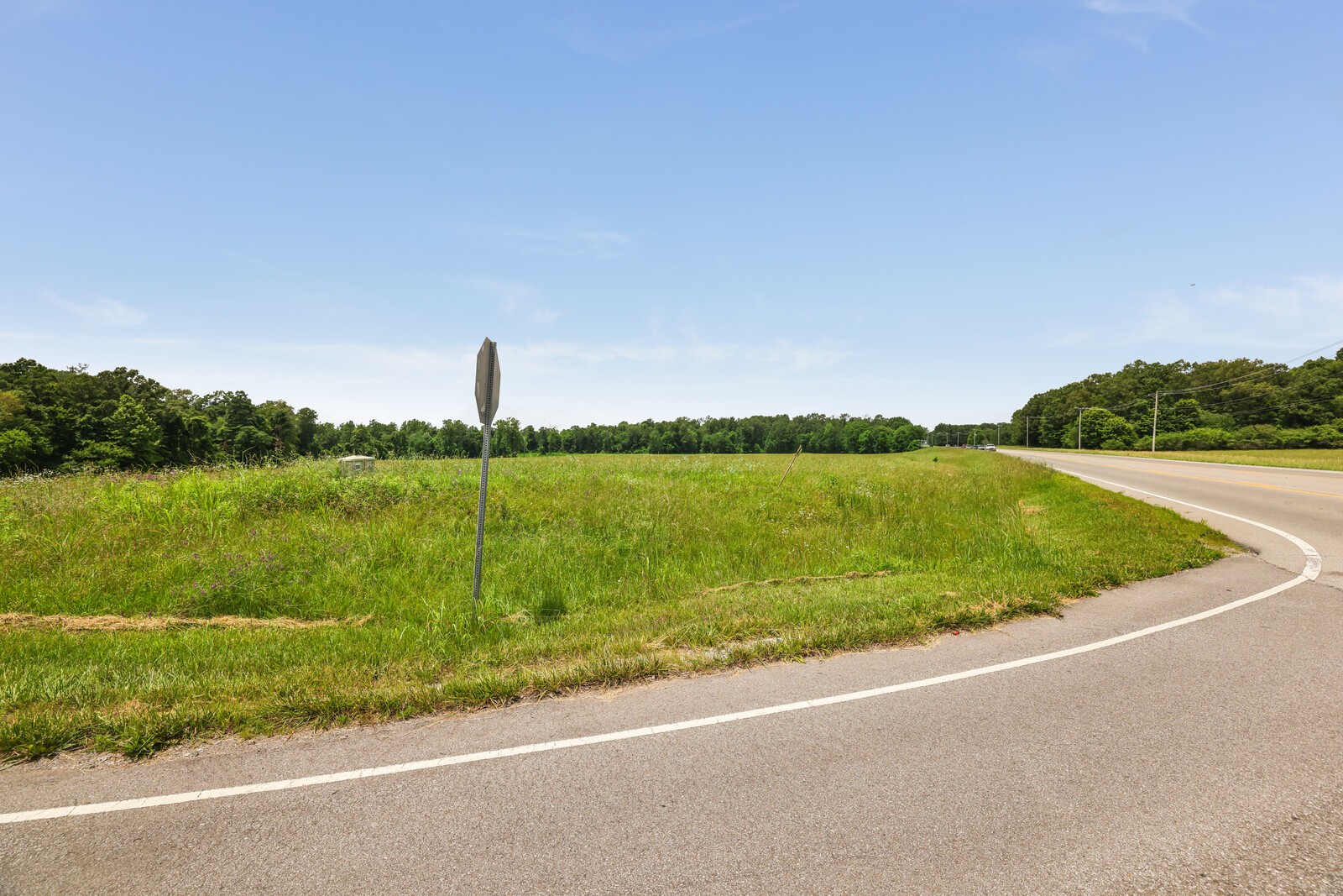 0 Iron Hill Road Dickson, TN 37055 - Photo 10 of 14 a view of a lake with a big yard