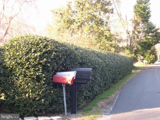 1854 Burley Road Annapolis, MD 21409 - Photo 3 of 29 EVERGREEN HEDGE ON STREET SIDE FOR PRIVACY