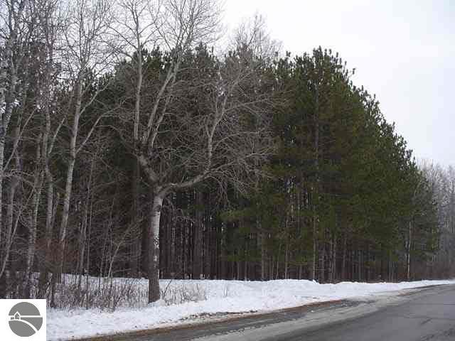 0 Herr Road Turner, MI 48765 - Photo 1 of 2 1763908.JPG