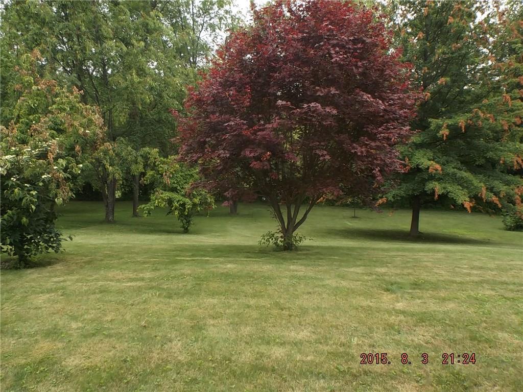 1250 Morey Road Deemston, PA 15333 - Photo 22 of 24 View From Front door
