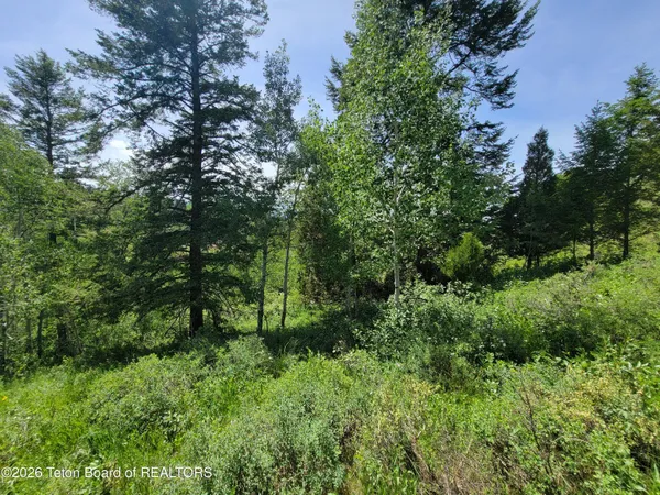 $147,000 | L58-b4 Cutthroat Run, Irwin, ID 83428