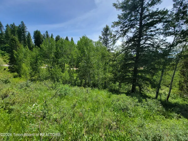 $147,000 | L58-b4 Cutthroat Run, Irwin, ID 83428