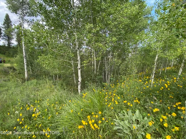 $147,000 | L58-b4 Cutthroat Run, Irwin, ID 83428