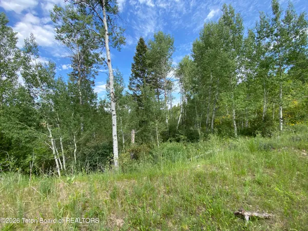 $147,000 | L58-b4 Cutthroat Run, Irwin, ID 83428