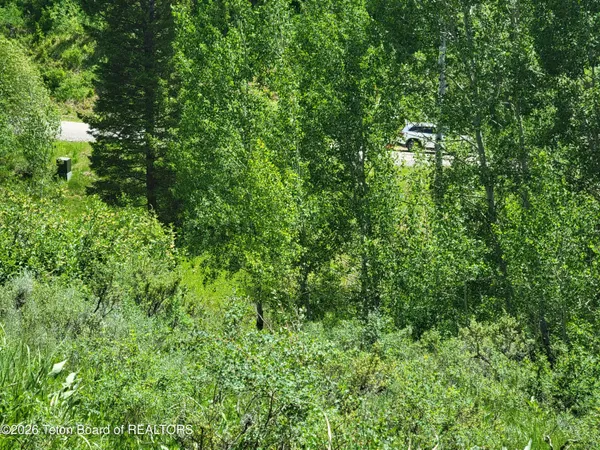 $147,000 | L58-b4 Cutthroat Run, Irwin, ID 83428