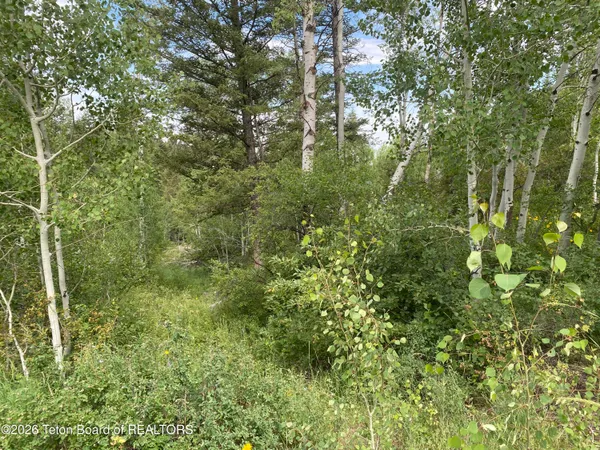 $147,000 | L58-b4 Cutthroat Run, Irwin, ID 83428