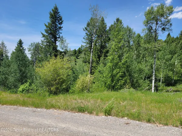 $147,000 | L58-b4 Cutthroat Run, Irwin, ID 83428