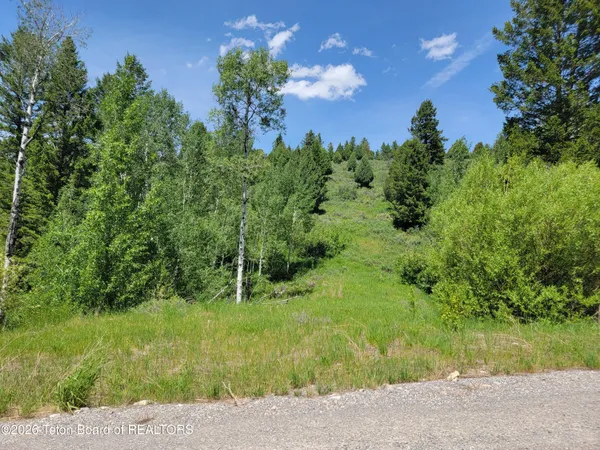 $147,000 | L58-b4 Cutthroat Run, Irwin, ID 83428