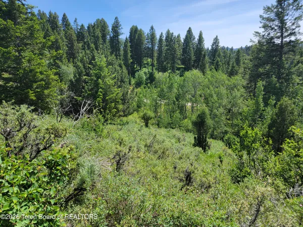 $147,000 | L58-b4 Cutthroat Run, Irwin, ID 83428