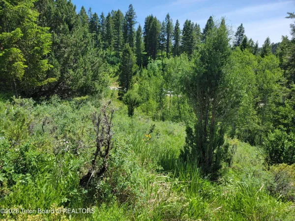 $147,000 | L58-b4 Cutthroat Run, Irwin, ID 83428