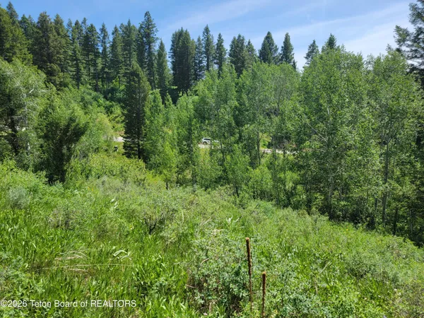 $147,000 | L58-b4 Cutthroat Run, Irwin, ID 83428