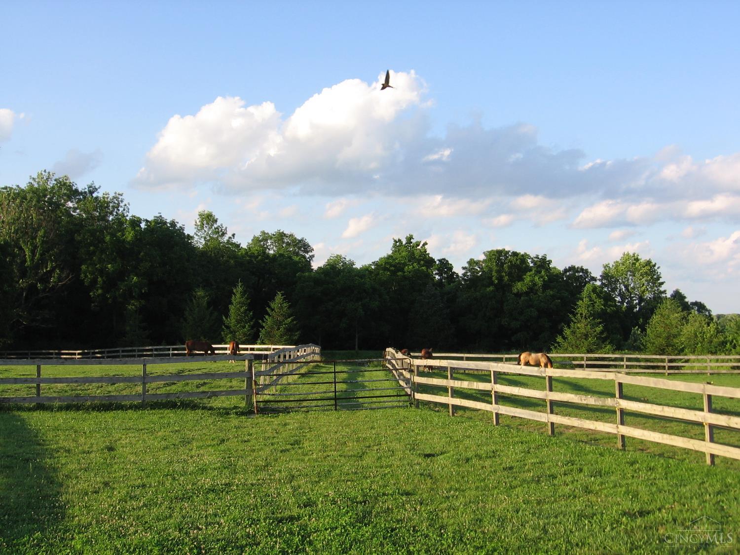 1862 East Foster-Maineville Road Morrow, OH 45152 - Photo 47 of 59