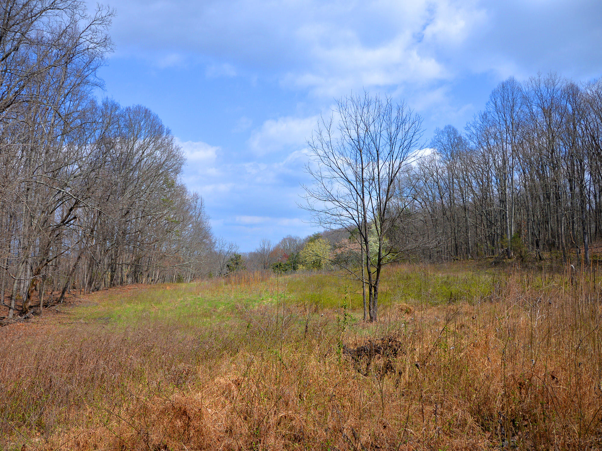 3250 Grimes Road Loudon, TN 37774 - Photo 2 of 18 Grimes Road 12
