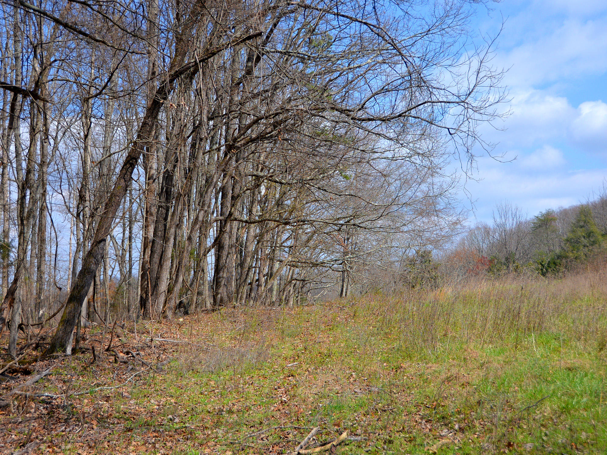 3250 Grimes Road Loudon, TN 37774 - Photo 14 of 18 Grimes Road 13