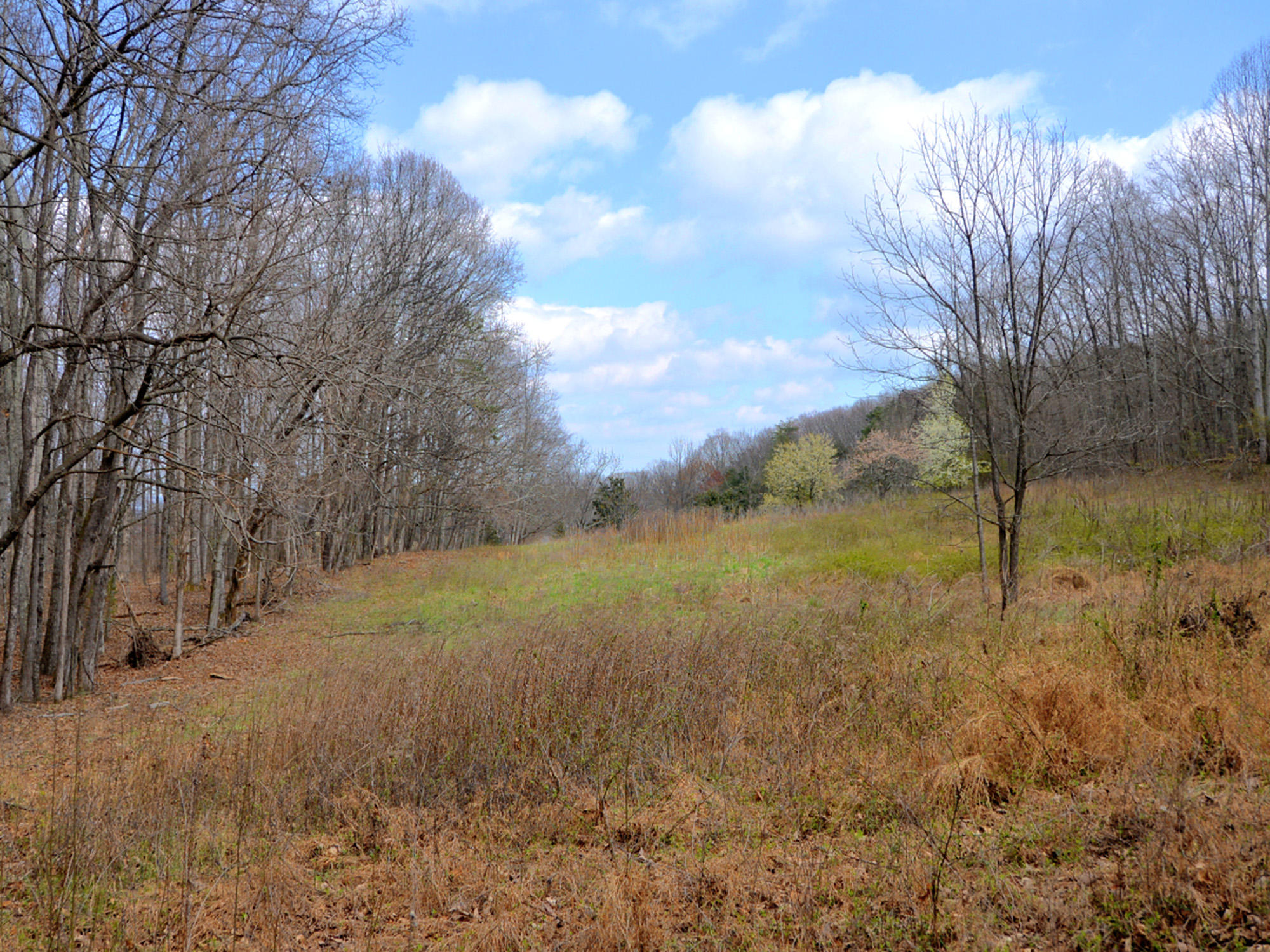 3250 Grimes Road Loudon, TN 37774 - Photo 15 of 18 Grimes Road 6