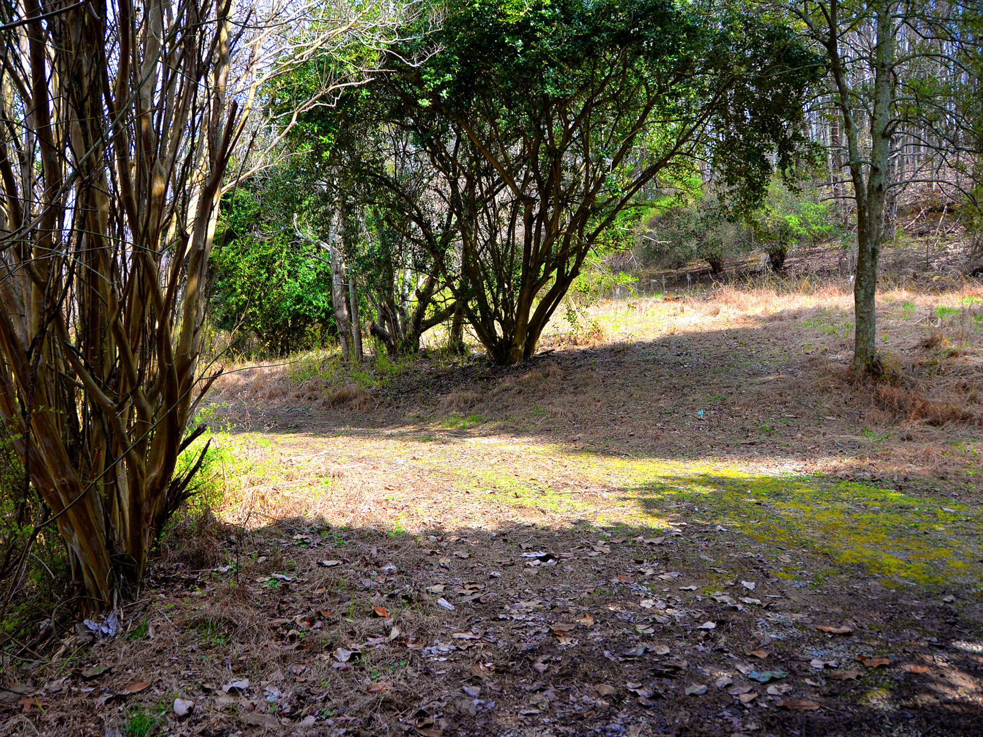 3250 Grimes Road Loudon, TN 37774 - Photo 4 of 18 Grimes Road 3
