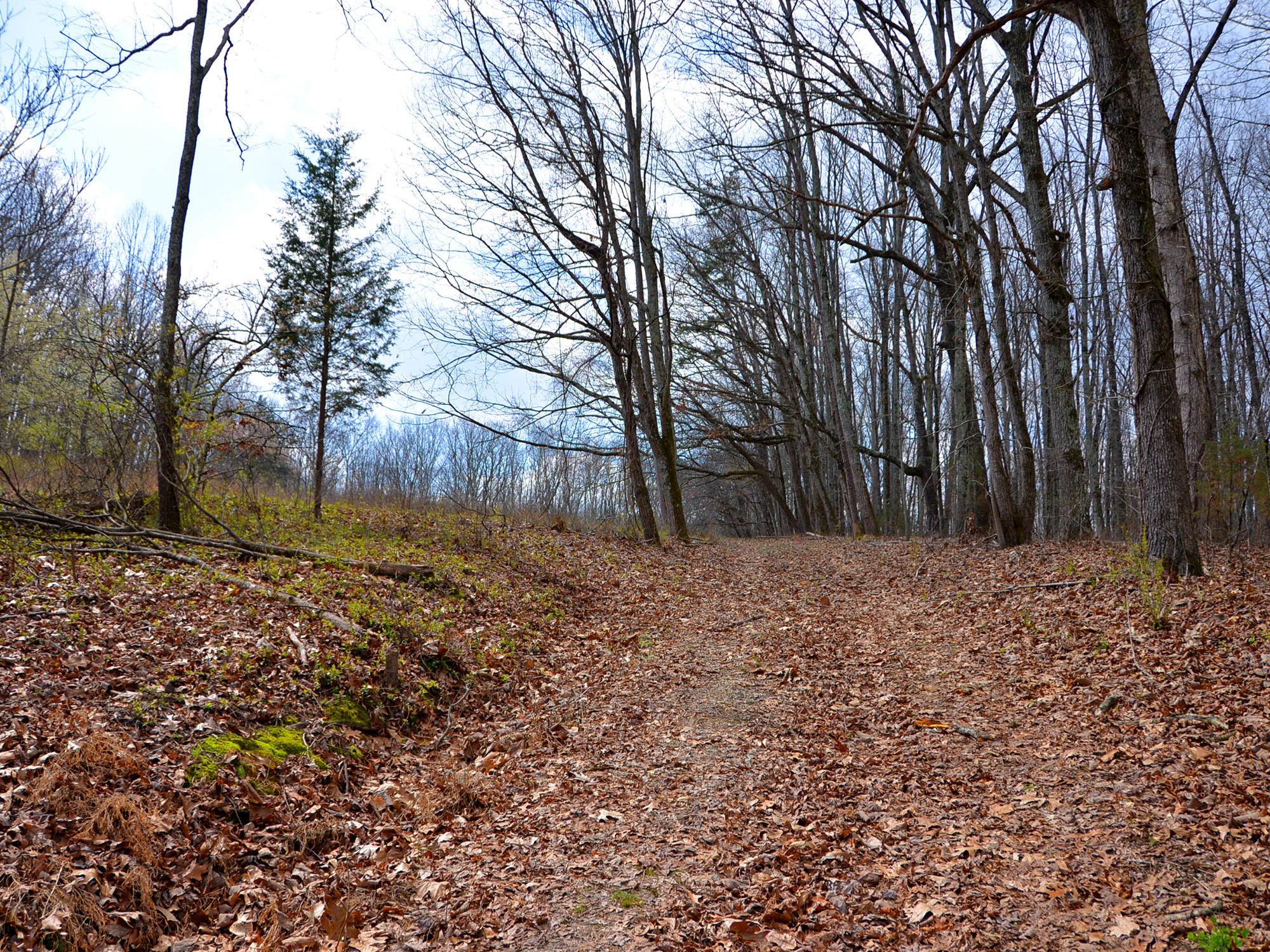 3250 Grimes Road Loudon, TN 37774 - Photo 6 of 18 Grimes Road 4
