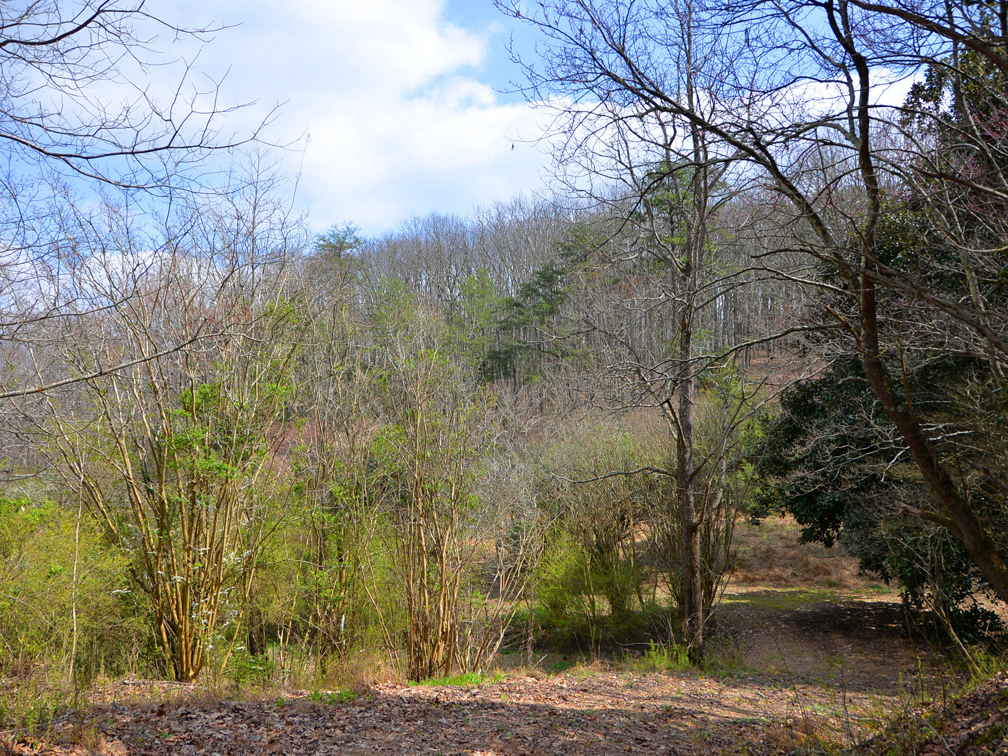 3250 Grimes Road Loudon, TN 37774 - Photo 8 of 18 Grimes Road 16