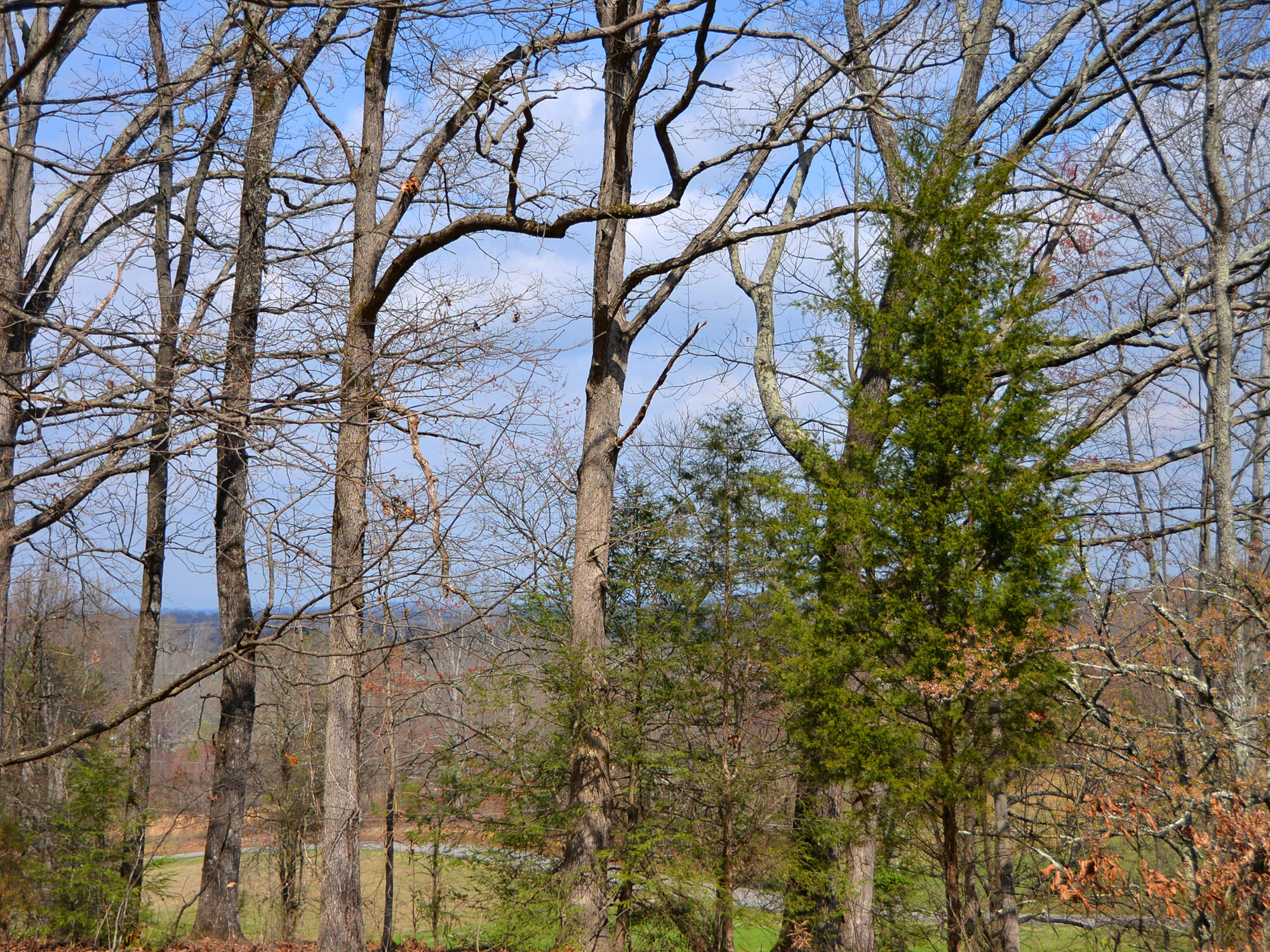 3250 Grimes Road Loudon, TN 37774 - Photo 9 of 18 Grimes Road 15