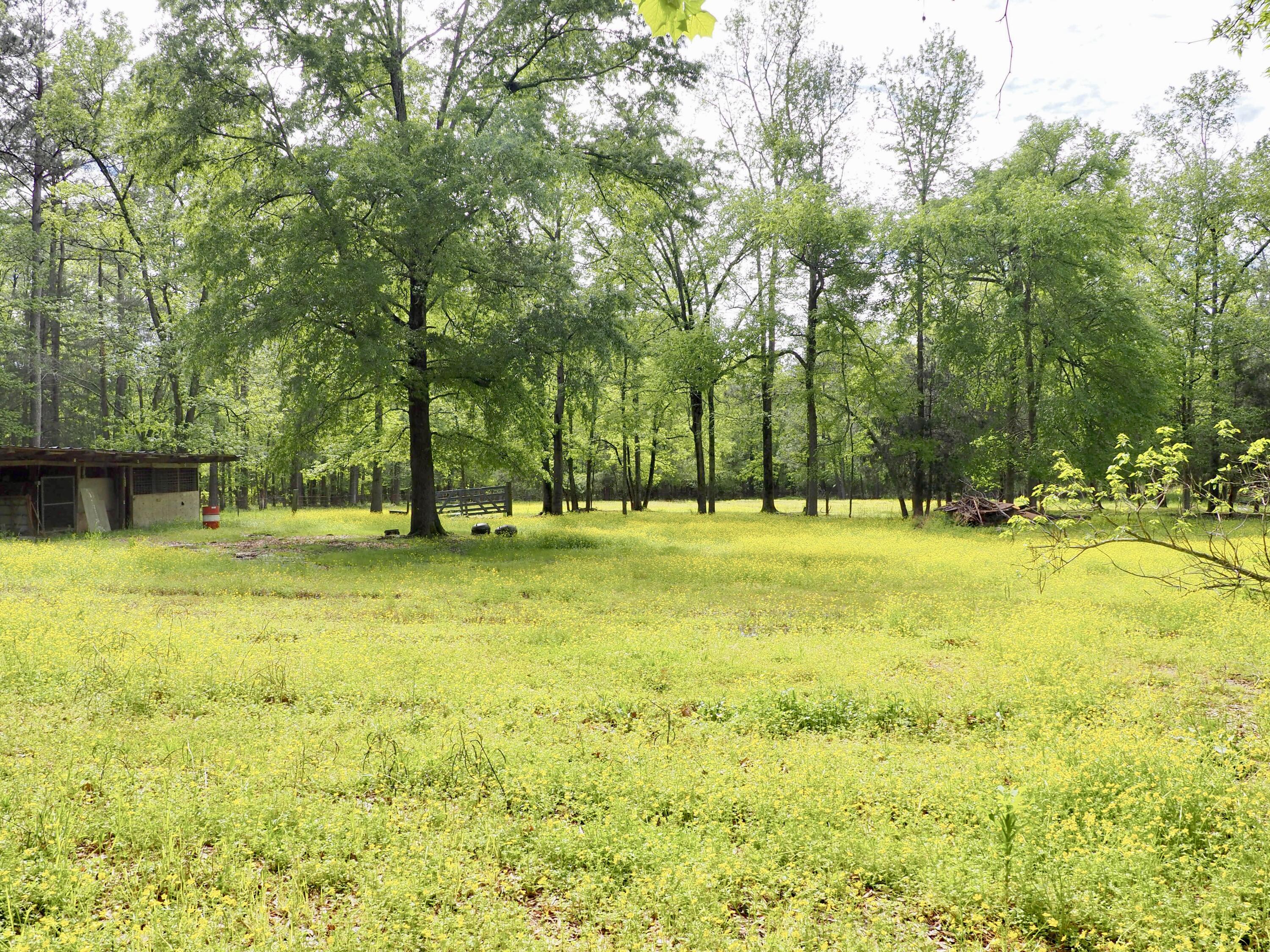 1366 Intermediate Road Harlem, GA 30814 - Photo 45 of 47 P1010469