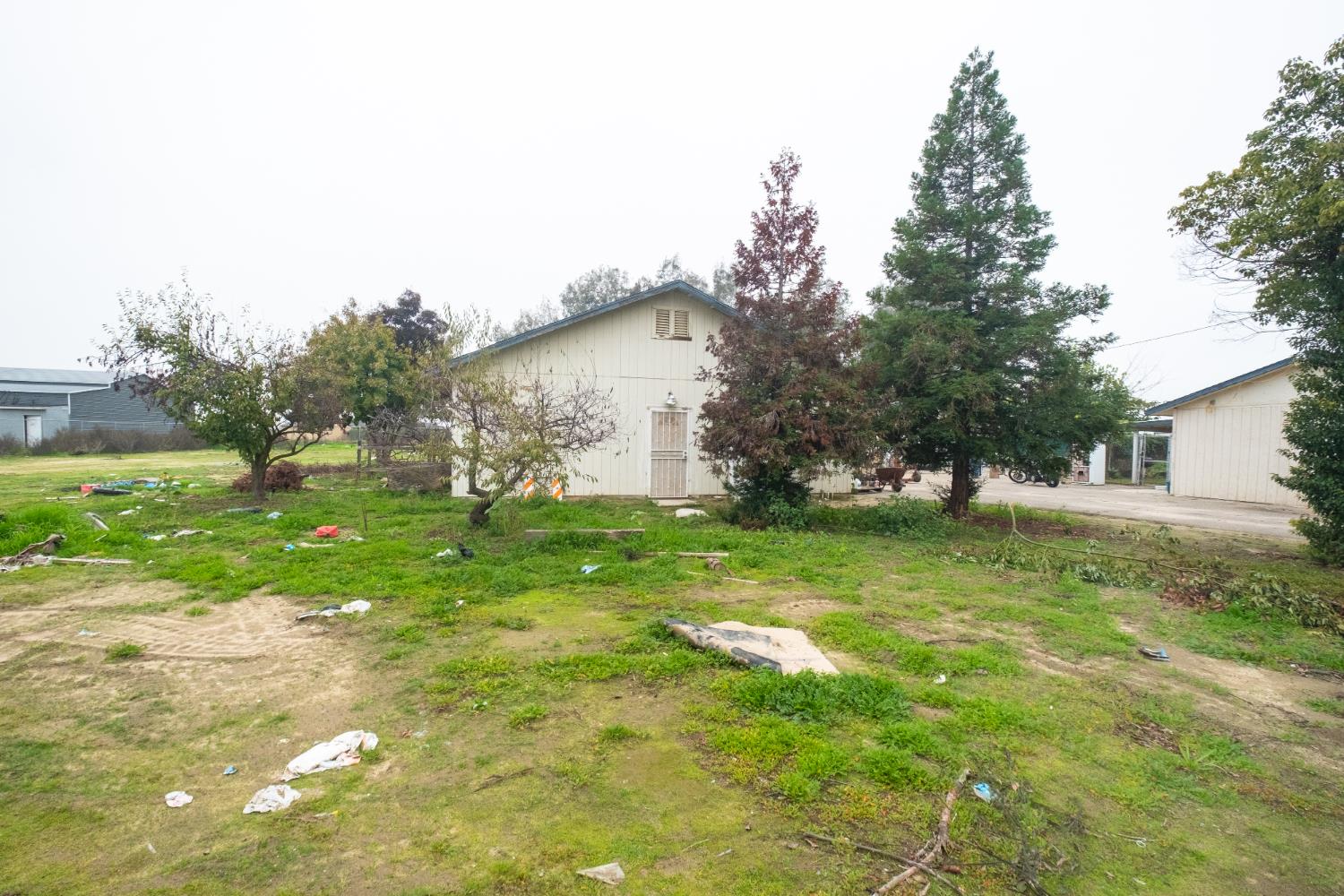 6401 South Chestnut Avenue Fresno, CA 93725 - Photo 22 of 36 a backyard of a house with plants and large trees