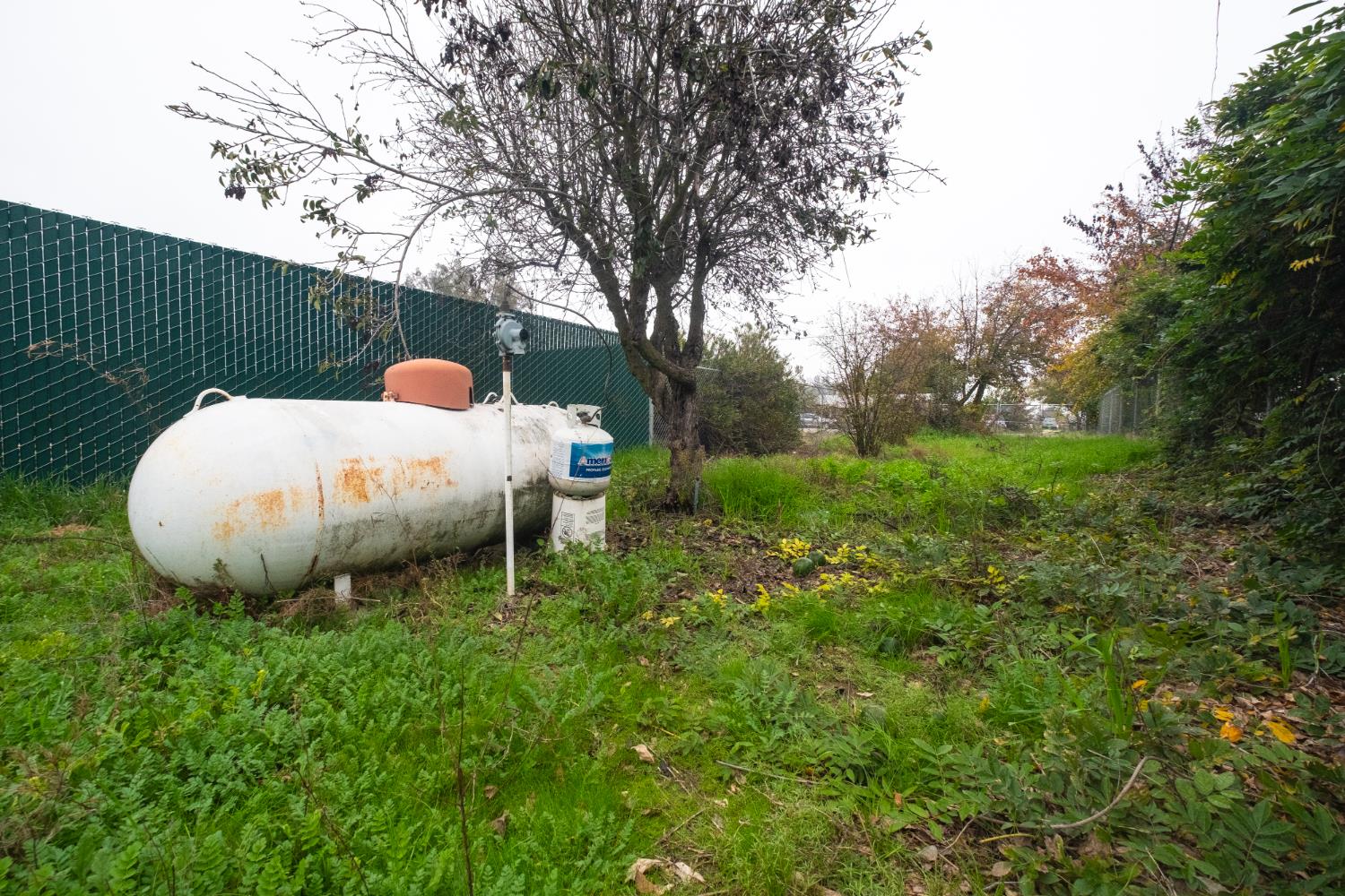 6401 South Chestnut Avenue Fresno, CA 93725 - Photo 32 of 36 a backyard of a house with table and chairs