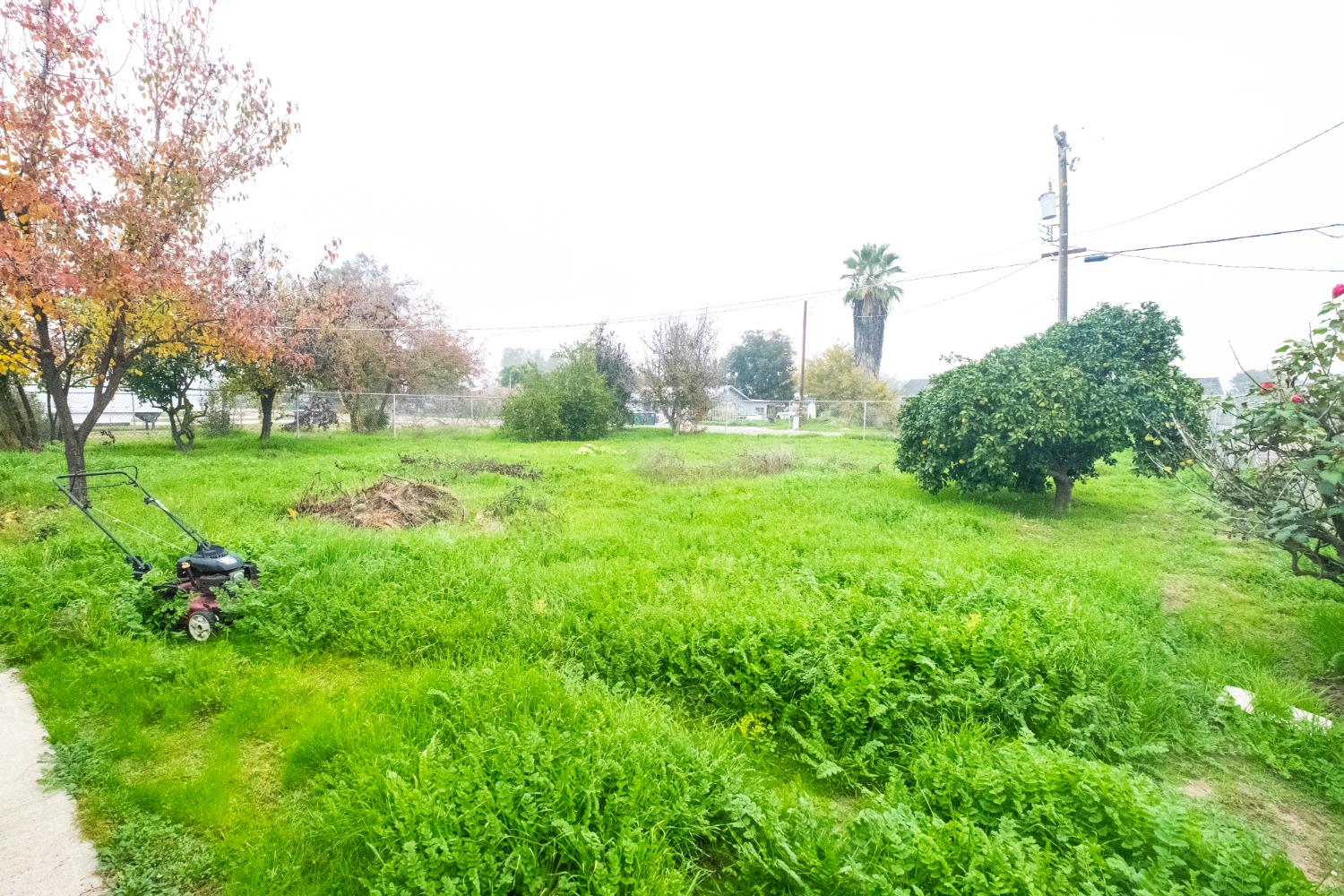 6401 South Chestnut Avenue Fresno, CA 93725 - Photo 33 of 36 a view of a lush green space