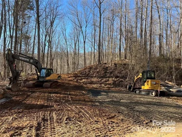 a view of a yard with large trees