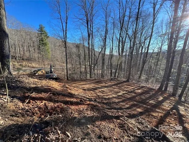 a backyard of a house with large trees