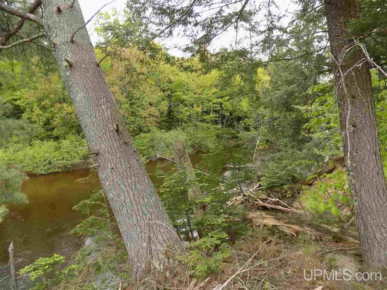 Tbd Slim's Road, Unit PARCEL B Manistique, MI 49854 - Photo 16 of 21