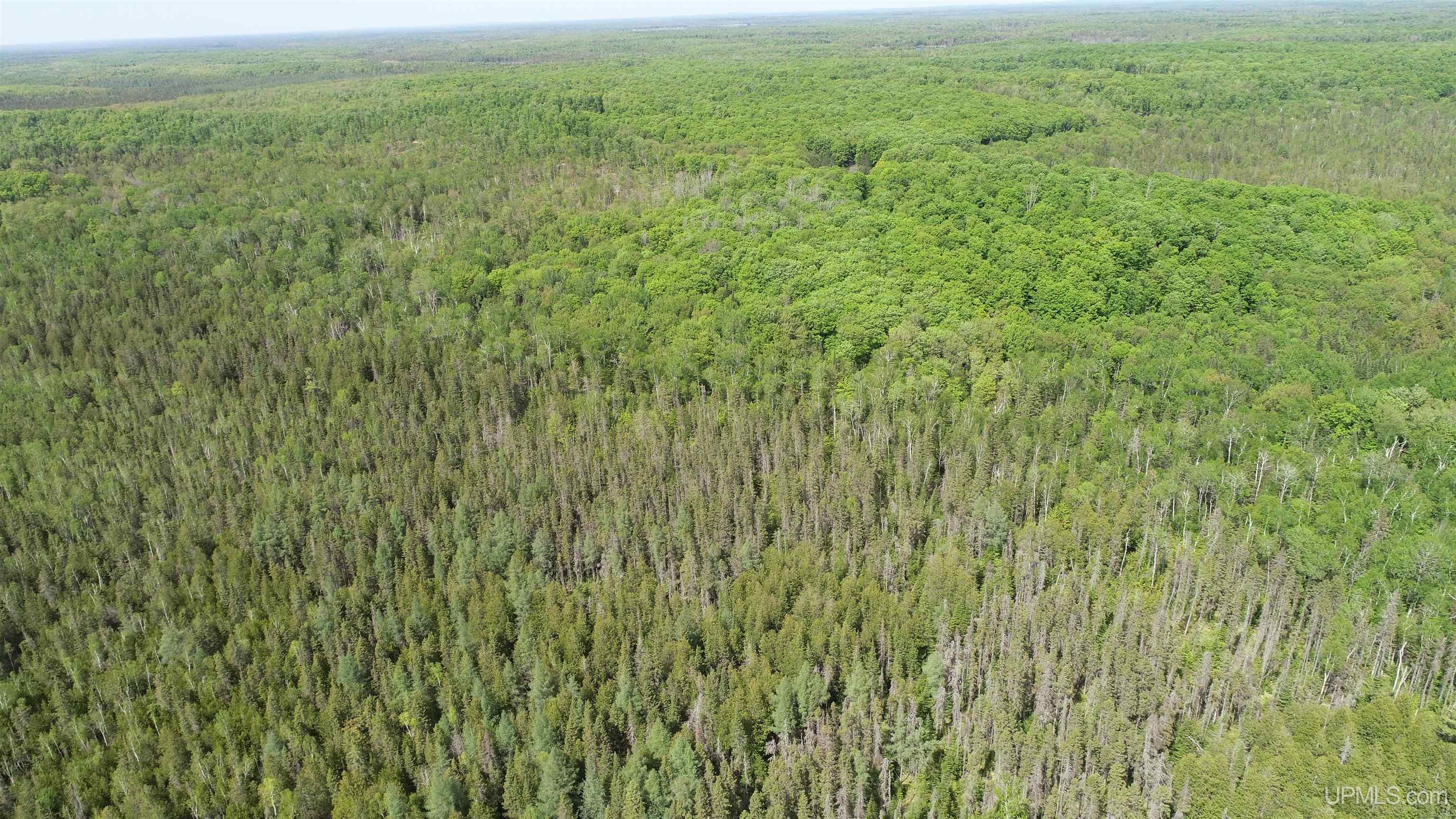 Tbd Tbd Banking Ground Road Germfask, MI 49836 - Photo 13 of 36