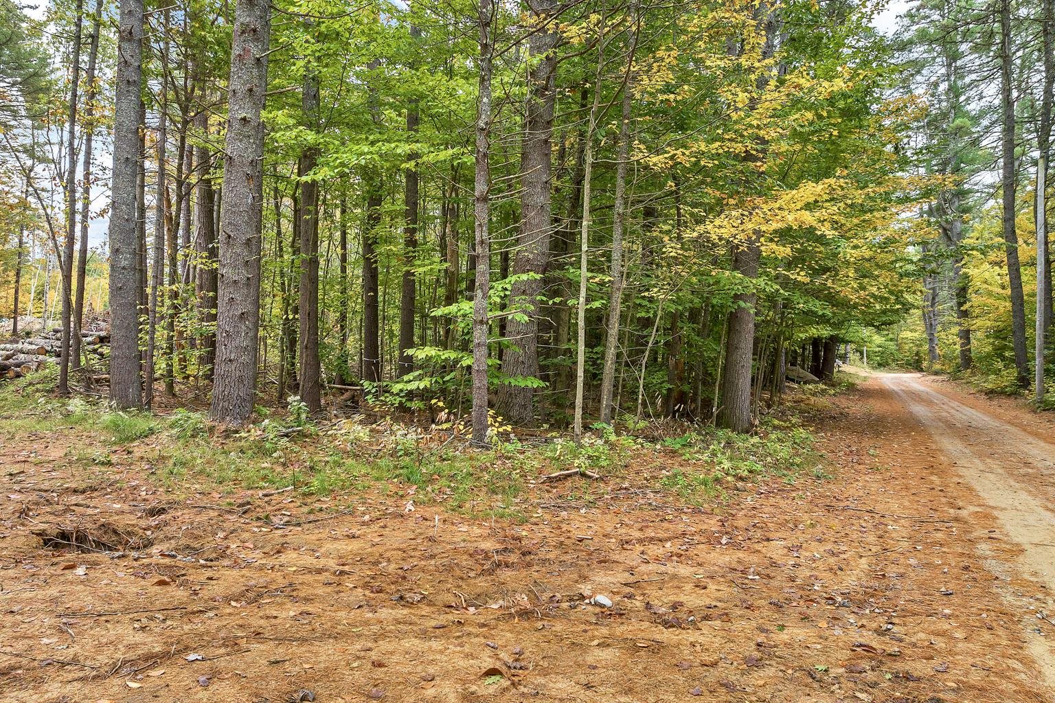 199 Molly Philbrick Road Effingham, NH 03882 - Photo 3 of 11