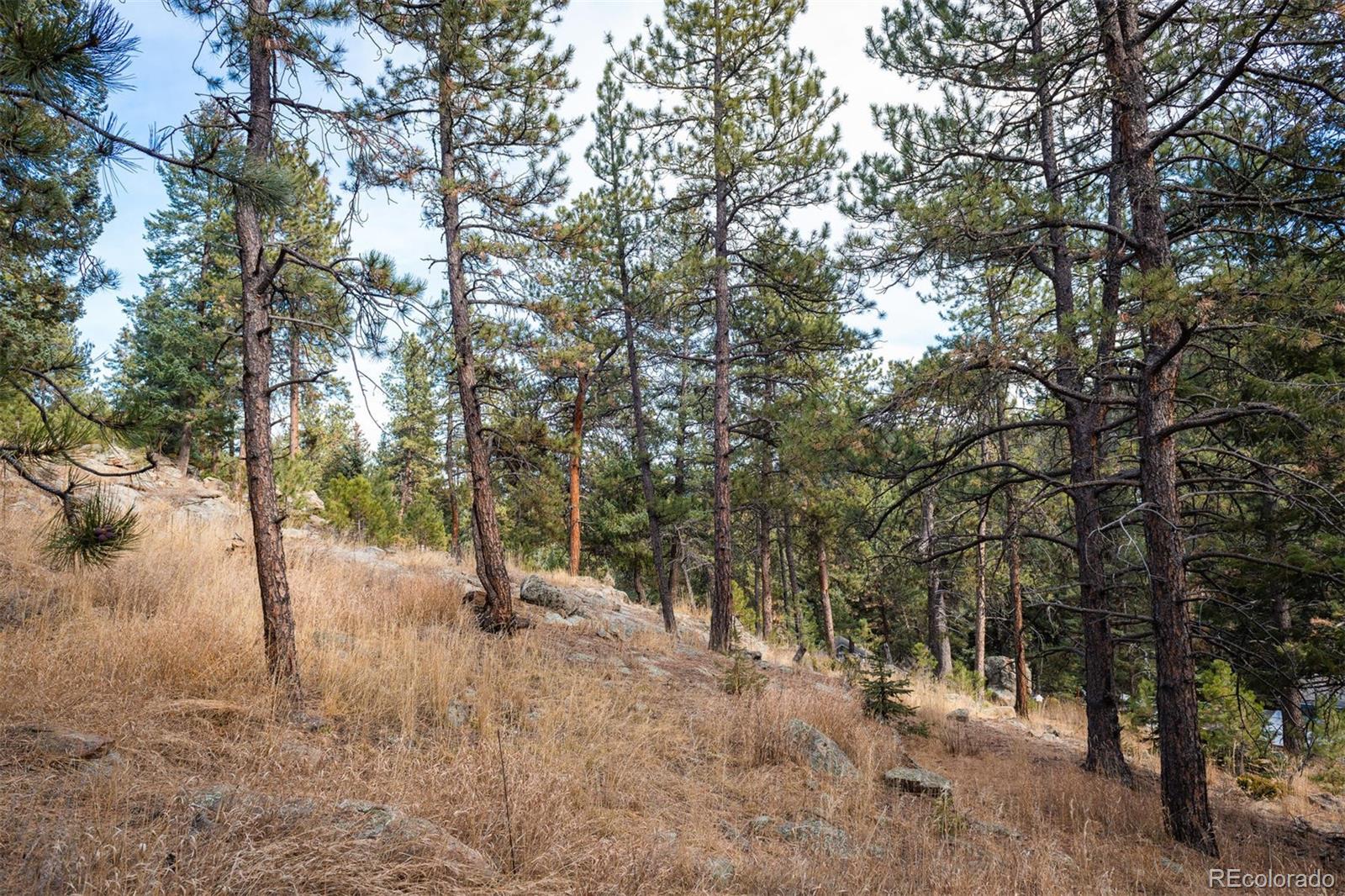 7347 South Brook Forest Road Evergreen, CO 80439 - Photo 29 of 35 Gallery Image 29