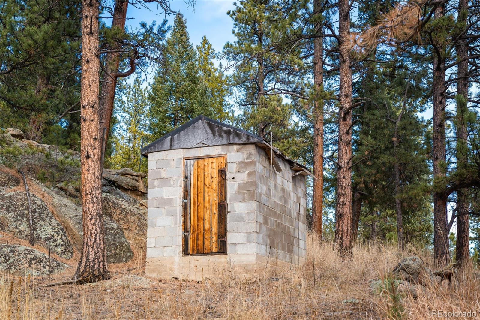 7347 South Brook Forest Road Evergreen, CO 80439 - Photo 31 of 35 Gallery Image 31