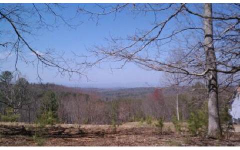 B&c Sand Gap Road Morganton, GA 30560 - Photo 1 of 1 Main View