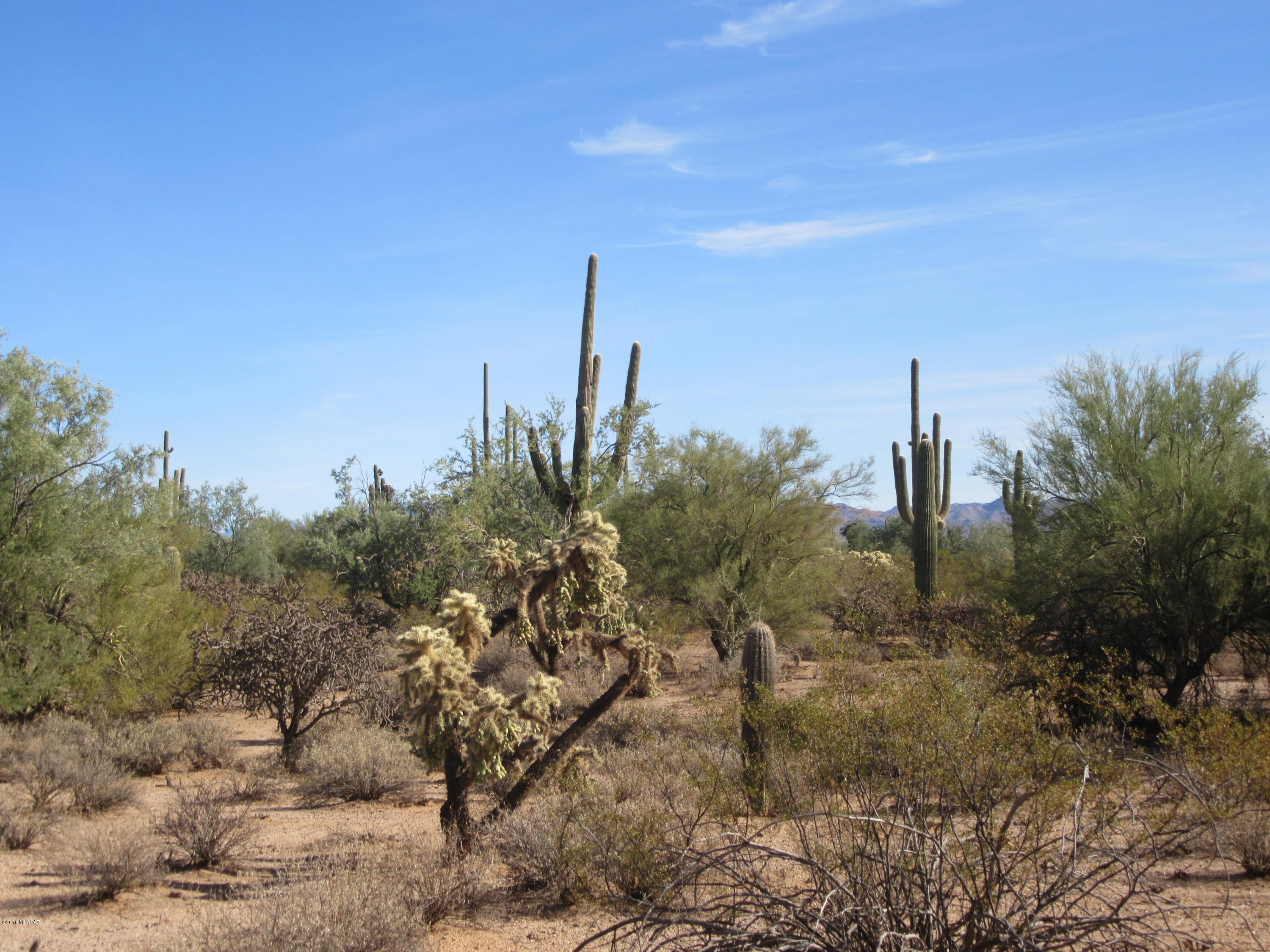 South Cattle Tank Road, Unit 20 Marana, AZ 85658 - Photo 15 of 20