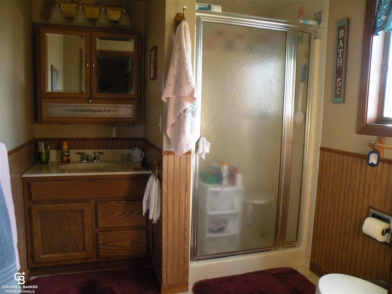 2665 Riley Center Road Memphis, MI 48041 - Photo 15 of 42 Master bath