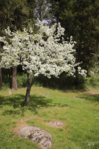 $875,000 | 1021 Claypit Road, Troy, ID 83871