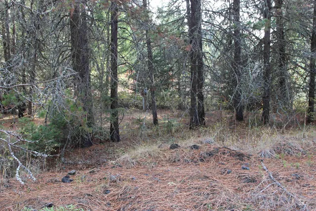 $875,000 | 1021 Claypit Road, Troy, ID 83871