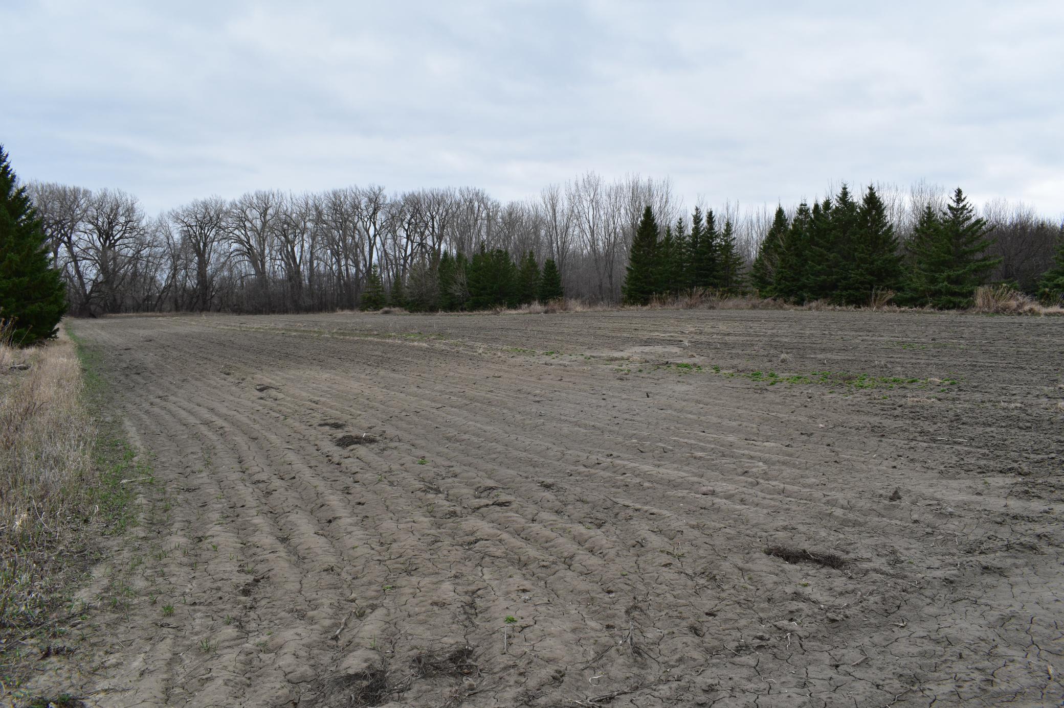 Tbd 370th Avenue Southwest Fisher, MN 56723 - Photo 14 of 42