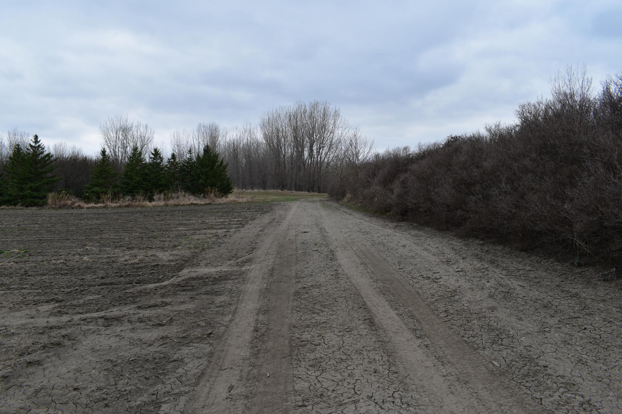 Tbd 370th Avenue Southwest Fisher, MN 56723 - Photo 15 of 42