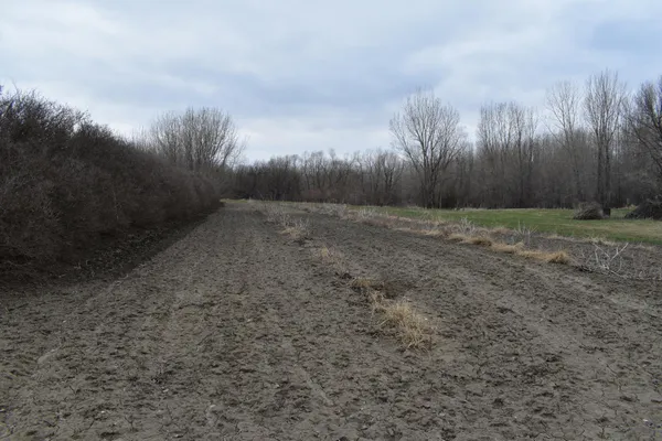 $299,999 | Tbd 370th Avenue Southwest, Fisher, MN 56723