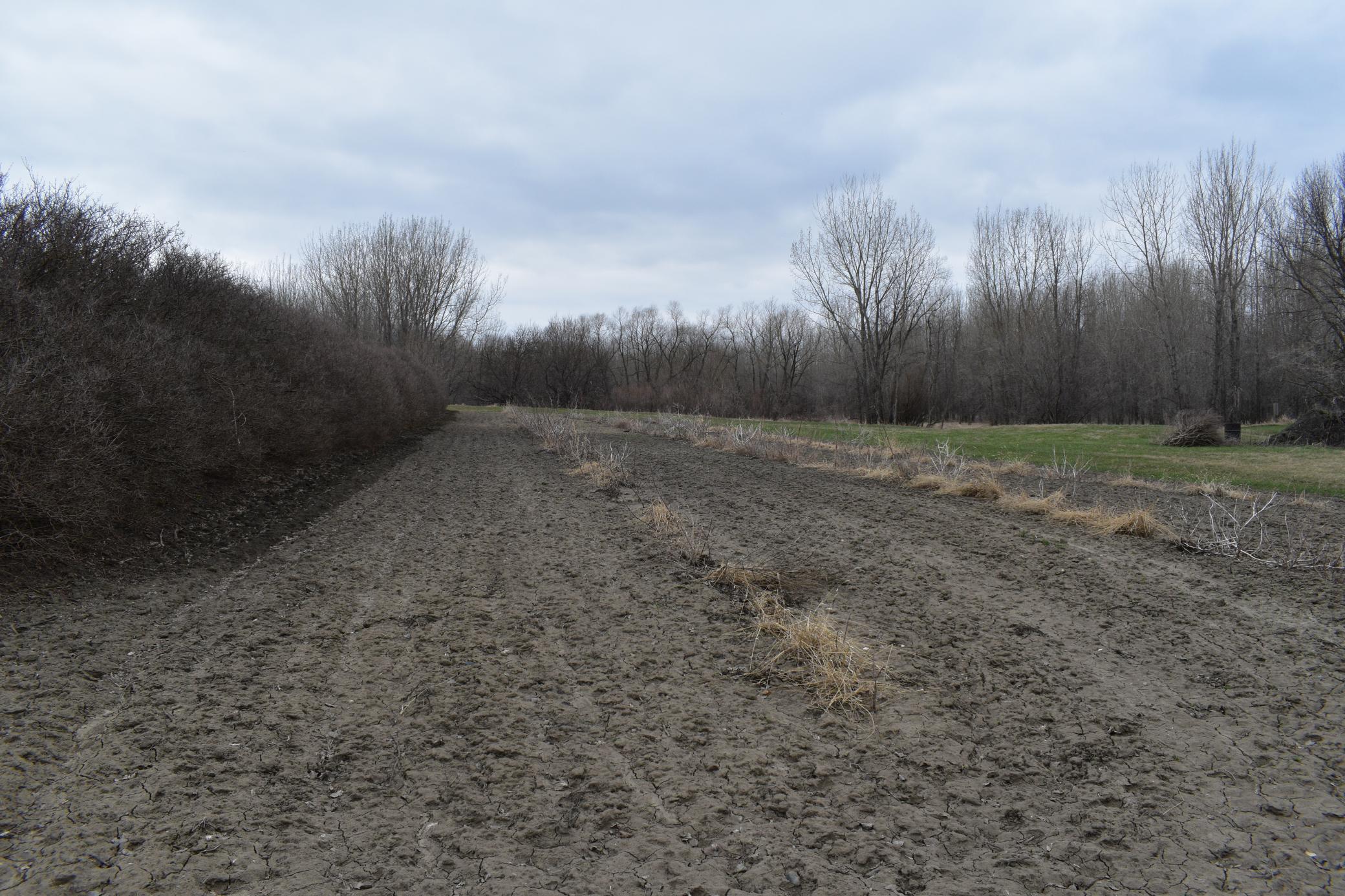 Tbd 370th Avenue Southwest Fisher, MN 56723 - Photo 16 of 42