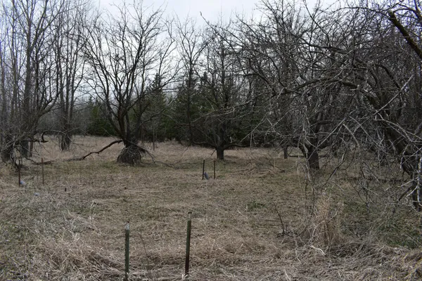 $299,999 | Tbd 370th Avenue Southwest, Fisher, MN 56723